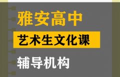 巴中艺术生文化课辅导机构,高三文化课提分机构