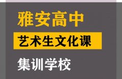 康定市表演生文化课补课机构,高中艺术生文化课集训学校