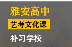 雅安美术生文化课集训哪家好,高中艺考文化课补课学校