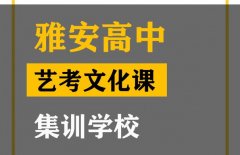 雅安体育生文化课集训哪