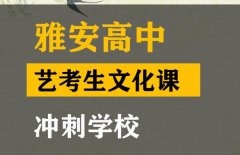 阆中市艺考生文化课培训中心,高中艺考生文化课冲刺班