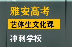 华蓥市艺体生文化课冲刺中心,高三文化课提分学校