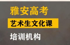 雅安音乐生文化课培训机构,高三文化课提分学校