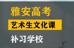 广安艺术生文化课补习学校,高考艺考文化课培训班