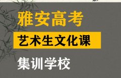 雅安美术生文化课冲刺哪家好,高三艺术生文化课集训班