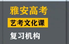 万源市体育生文化课培训学校,高考艺考文化课提分机构