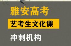 雅安传媒生文化课集训学校,高中艺考文化课冲刺机构