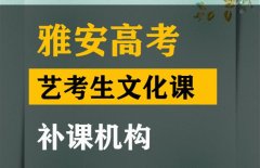 华蓥市艺考生文化课补习中心,高考文化课辅导机构