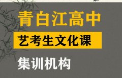 成都青白江区表演生文化课冲刺中心,高考艺考生文化课集训机构