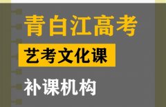 成都青白江区艺考文化课