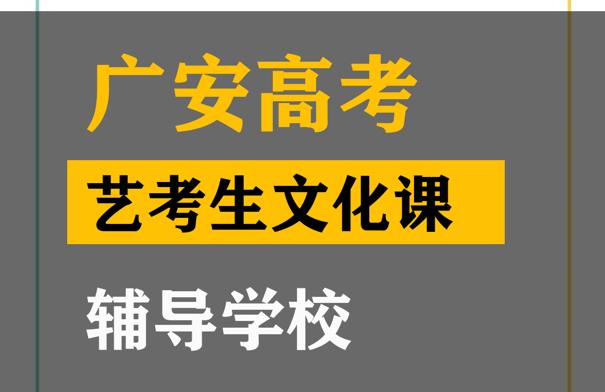 广安艺考生文化课辅导学校,高考文化课冲刺学校